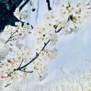 ヒメ日記 2025/04/08 19:56 投稿 ゆい 新潟市鳥屋野潟ちゃんこ