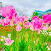 ヒメ日記 2025/04/27 16:06 投稿 ゆい 新潟市鳥屋野潟ちゃんこ