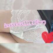 ヒメ日記 2025/06/27 16:36 投稿 ゆい 新潟市鳥屋野潟ちゃんこ