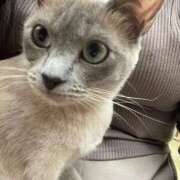 ヒメ日記 2026/01/29 18:56 投稿 ゆい 新潟市鳥屋野潟ちゃんこ