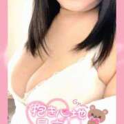 ヒメ日記 2026/03/31 13:36 投稿 ゆい 新潟市鳥屋野潟ちゃんこ