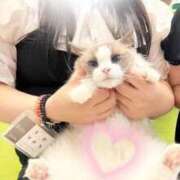 ヒメ日記 2026/05/31 23:03 投稿 ゆい 新潟市鳥屋野潟ちゃんこ