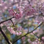 ヒメ日記 2026/03/05 21:14 投稿 うな One More 奥様　松戸店