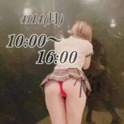 ヒメ日記 2025/04/14 08:40 投稿 きい ANNEX（アネックス）