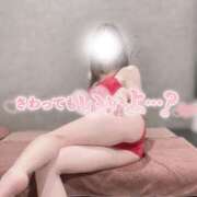 ヒメ日記 2026/03/05 08:00 投稿 きい ANNEX（アネックス）