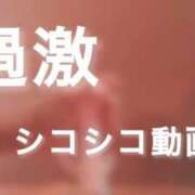 ヒメ日記 2025/11/06 12:02 投稿 辻彩乃 五十路マダム金沢店