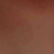 ヒメ日記 2026/02/09 14:36 投稿 辻彩乃 五十路マダム金沢店