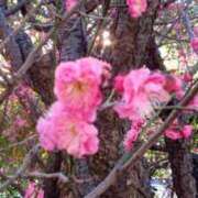 ヒメ日記 2025/02/11 10:57 投稿 はづき 丸妻 新横浜店