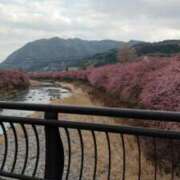 ヒメ日記 2026/02/17 16:41 投稿 はづき 丸妻 新横浜店