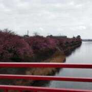 はづき 来たよ〜華金 丸妻 新横浜店