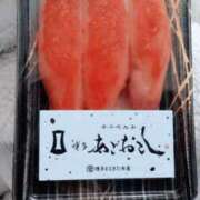 ヒメ日記 2026/04/22 07:53 投稿 はづき 丸妻 新横浜店