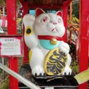 ヒメ日記 2026/07/11 22:38 投稿 はづき 丸妻 新横浜店