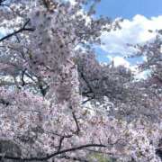 ヒメ日記 2025/05/06 21:13 投稿 武田夕愛 札幌ソフィア