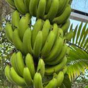 ヒメ日記 2025/03/29 11:00 投稿 えな 渋谷じゃっくす