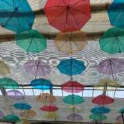 ヒメ日記 2025/06/25 11:30 投稿 えな 渋谷じゃっくす