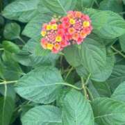 えな この前も… 渋谷じゃっくす