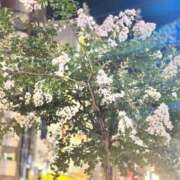 ヒメ日記 2026/07/26 01:45 投稿 えな 渋谷じゃっくす