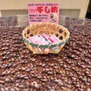 ヒメ日記 2026/08/13 00:15 投稿 えな 渋谷じゃっくす