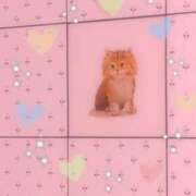 ヒメ日記 2026/09/06 10:31 投稿 えな 渋谷じゃっくす
