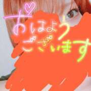 ヒメ日記 2025/02/24 12:15 投稿 リサ ドMなバニーちゃん大宮店