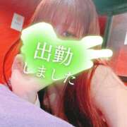 ヒメ日記 2025/02/25 12:02 投稿 リサ ドMなバニーちゃん大宮店