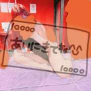 ヒメ日記 2025/02/25 14:15 投稿 リサ ドMなバニーちゃん大宮店