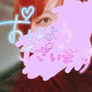 ヒメ日記 2025/02/27 10:15 投稿 リサ ドMなバニーちゃん大宮店