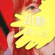 ヒメ日記 2025/04/14 11:59 投稿 リサ ドMなバニーちゃん大宮店