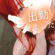 ヒメ日記 2025/04/16 11:56 投稿 リサ ドMなバニーちゃん大宮店