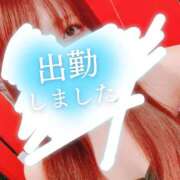 ヒメ日記 2025/04/17 11:57 投稿 リサ ドMなバニーちゃん大宮店