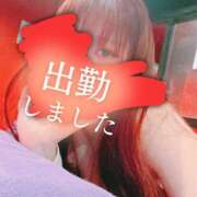 ヒメ日記 2025/07/22 12:02 投稿 リサ ドMなバニーちゃん大宮店