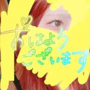 ヒメ日記 2025/11/16 10:15 投稿 リサ ドMなバニーちゃん大宮店