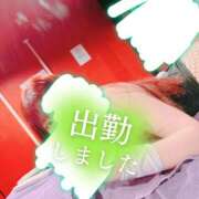 ヒメ日記 2025/11/17 12:00 投稿 リサ ドMなバニーちゃん大宮店