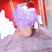 ヒメ日記 2025/12/28 14:05 投稿 リサ ドMなバニーちゃん大宮店