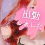 ヒメ日記 2026/02/25 12:01 投稿 リサ ドMなバニーちゃん大宮店