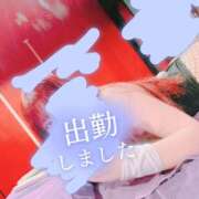 ヒメ日記 2026/05/12 12:04 投稿 リサ ドMなバニーちゃん大宮店