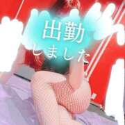 ヒメ日記 2026/08/11 12:04 投稿 リサ ドMなバニーちゃん大宮店