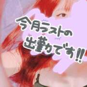 リサ (  -᷄ω-᷅ ) ドMなバニーちゃん大宮店