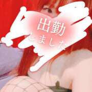 ヒメ日記 2026/09/13 12:03 投稿 リサ ドMなバニーちゃん大宮店