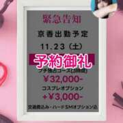 ヒメ日記 2024/11/20 19:16 投稿 京香 マニア専科 Bella rosa rossa