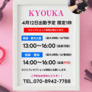 ヒメ日記 2025/04/07 21:30 投稿 京香 マニア専科 Bella rosa rossa