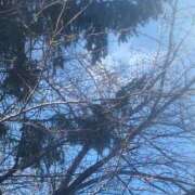 ヒメ日記 2025/02/15 15:11 投稿 せつな ソープランド AQUA（アクア）