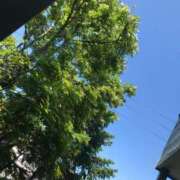 ヒメ日記 2025/05/16 14:10 投稿 せつな ソープランド AQUA（アクア）