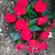 ヒメ日記 2025/07/25 13:19 投稿 せつな ソープランド AQUA（アクア）