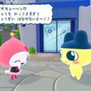 ヒメ日記 2025/10/09 10:09 投稿 せつな ソープランド AQUA（アクア）