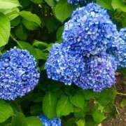 ヒメ日記 2025/10/27 15:38 投稿 せつな ソープランド AQUA（アクア）