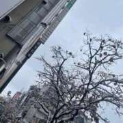 ヒメ日記 2025/11/13 14:58 投稿 せつな ソープランド AQUA（アクア）