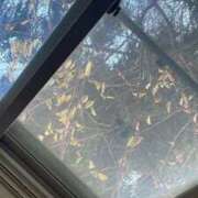 ヒメ日記 2025/11/15 14:34 投稿 せつな ソープランド AQUA（アクア）