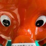 ヒメ日記 2025/11/20 13:18 投稿 せつな ソープランド AQUA（アクア）