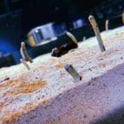 せつな もう満足‼️ ソープランド AQUA（アクア）